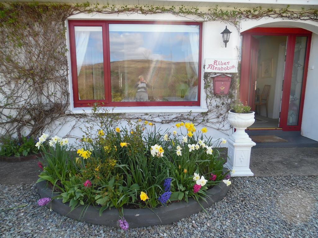 River Meadows B&B Кенмар Экстерьер фото